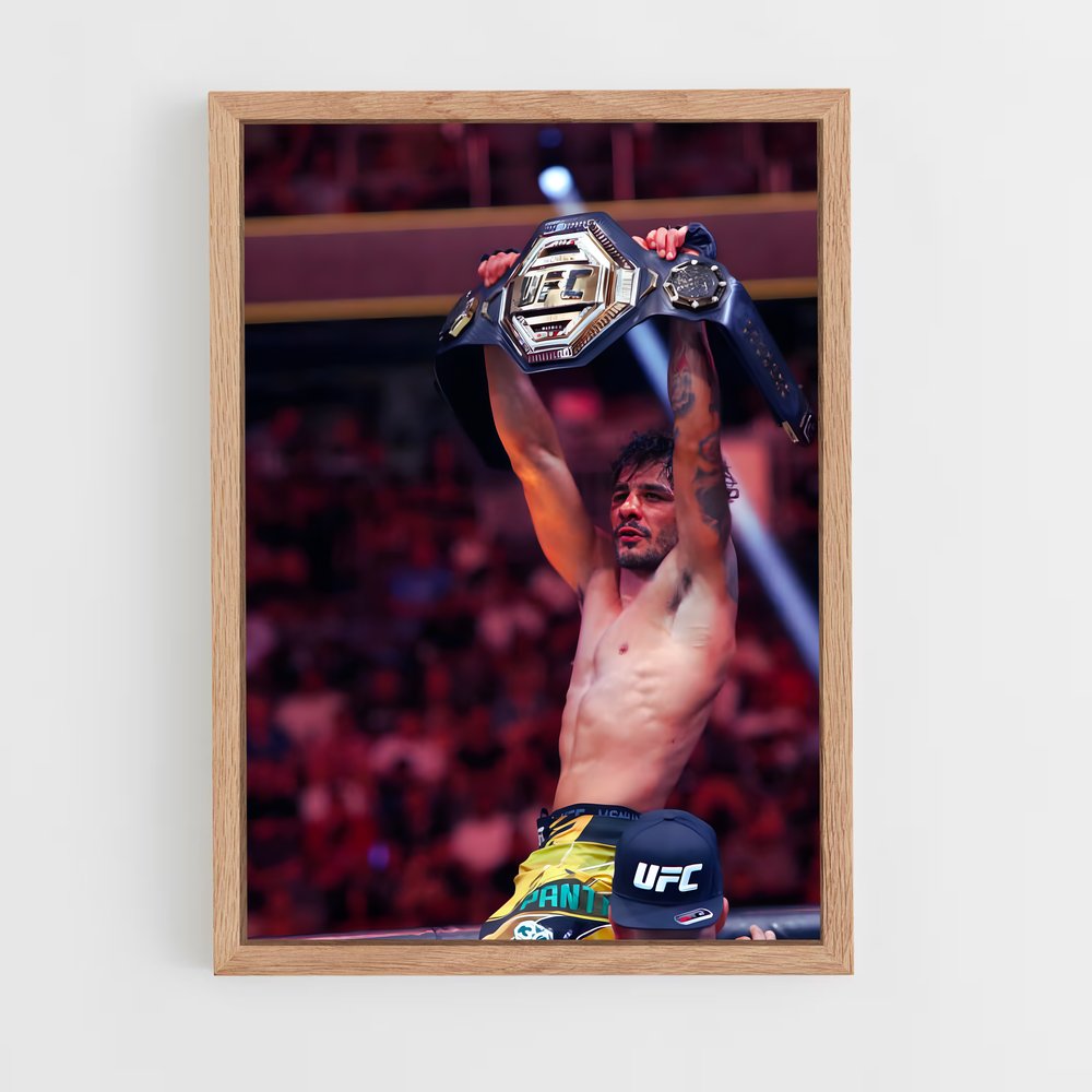 Poster Champion de Rêve – affiche MMA (vue 4)